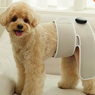 Low-level Laser Therapy (LLLT) Pro Cape (8635677409560)