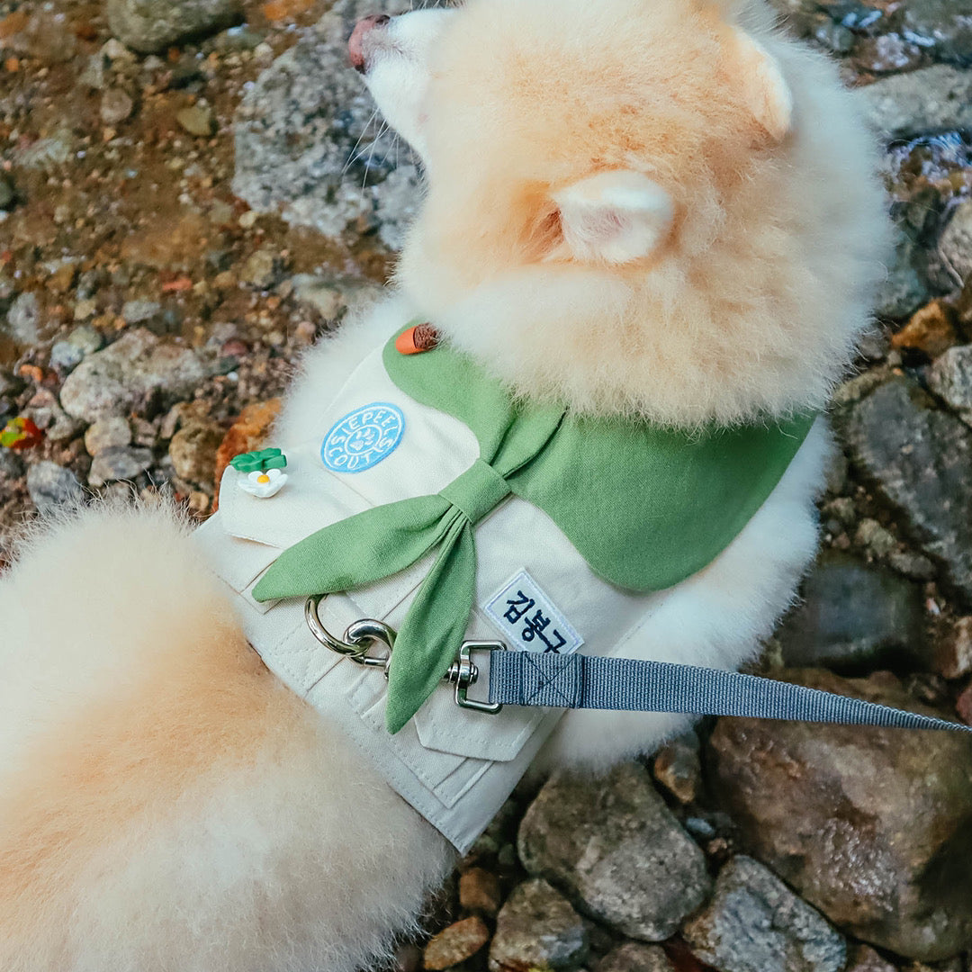Personalized Scout Vest Harness