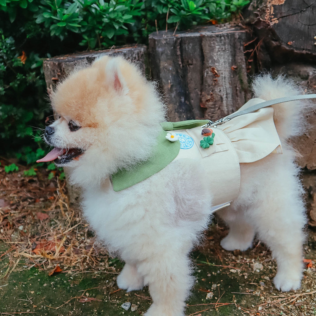 Personalized Scout Dress Harness (8572355084568)