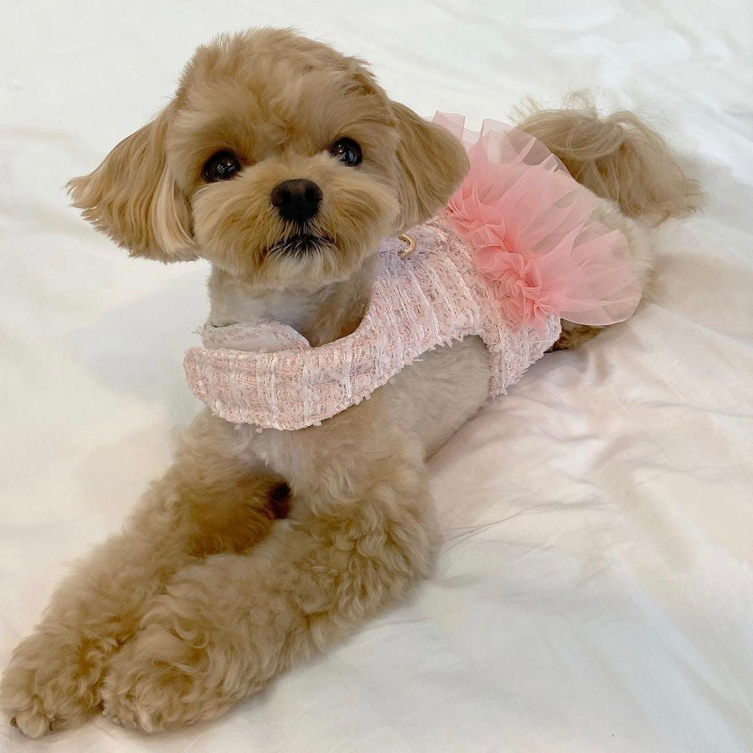 [PRE-ORDER] Pink Tweed Tutu Harness (8729282871576)