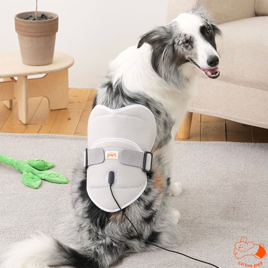 Low-level Laser Therapy (LLLT) Pad (8167405519128)