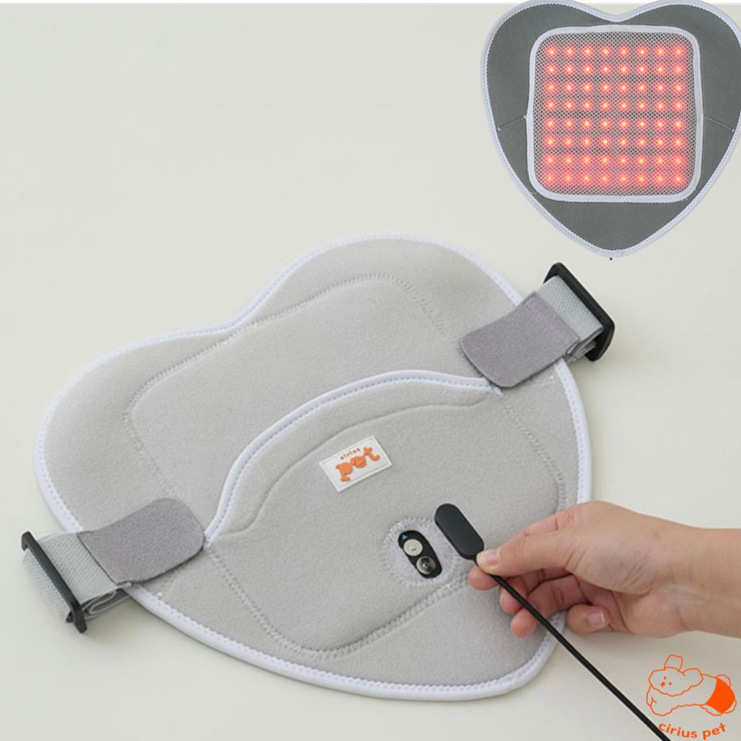 Low-level Laser Therapy (LLLT) Pad (8167405519128)