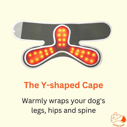 Low-level Laser Therapy (LLLT) Cape (8166476022040)
