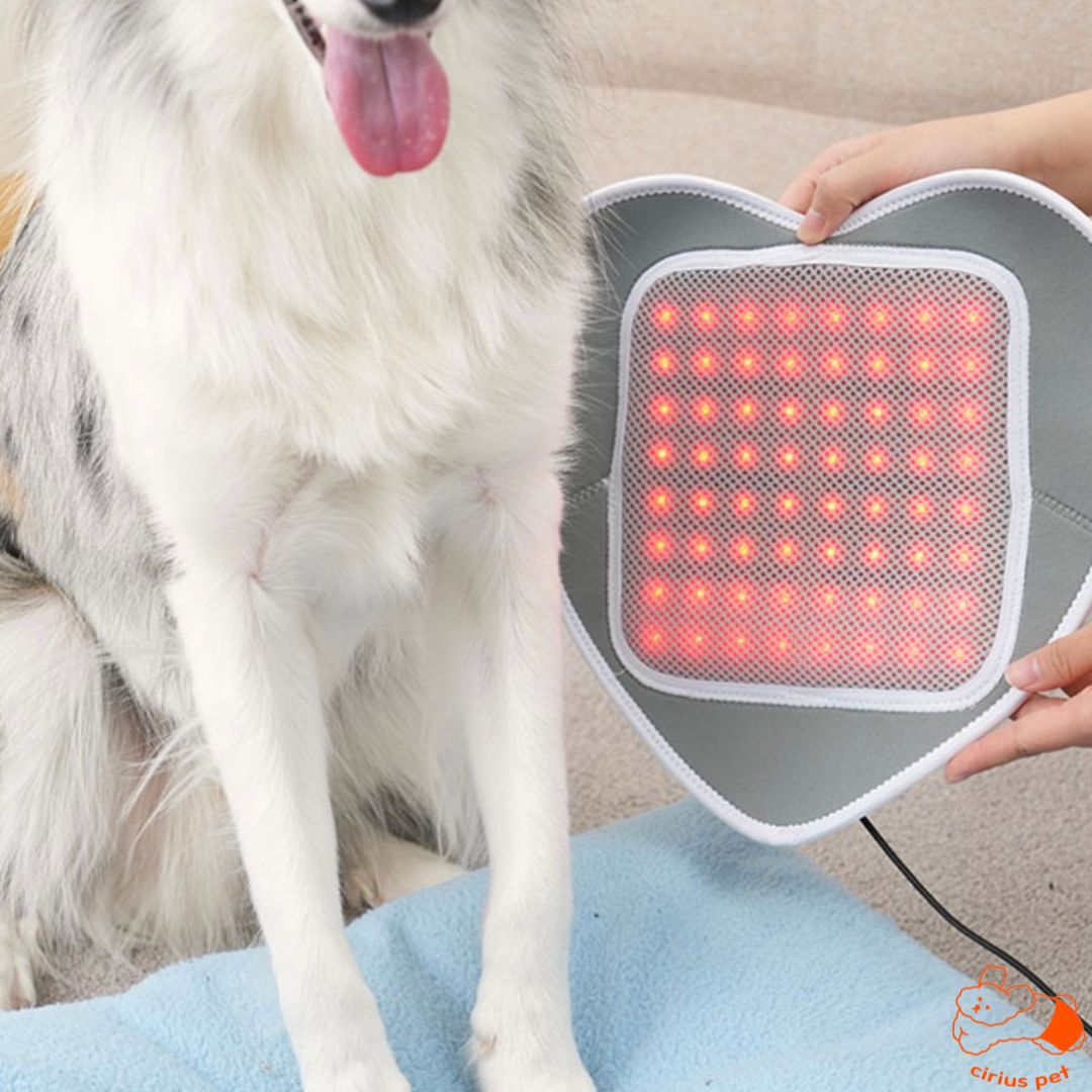 Low-level Laser Therapy (LLLT) Pad (8167405519128)
