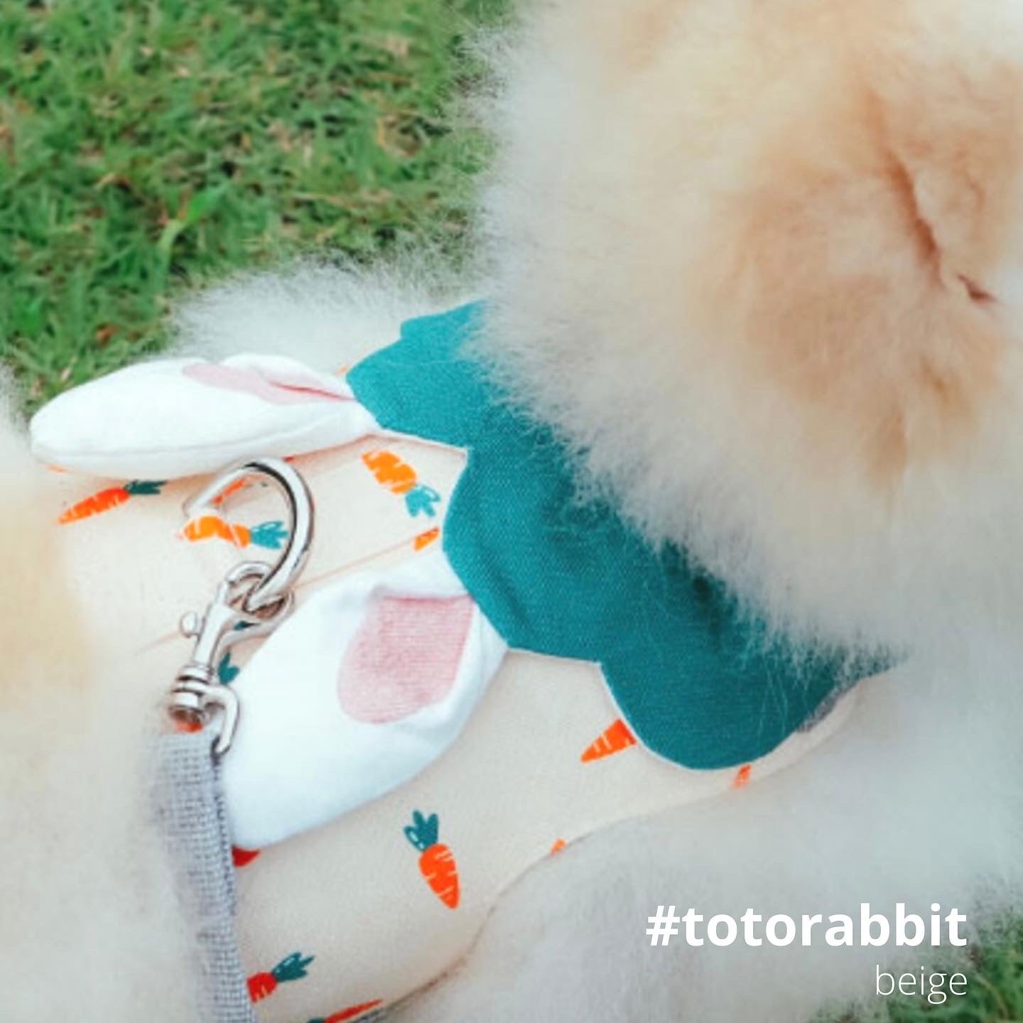 Toto the Rabbit Vest Harness